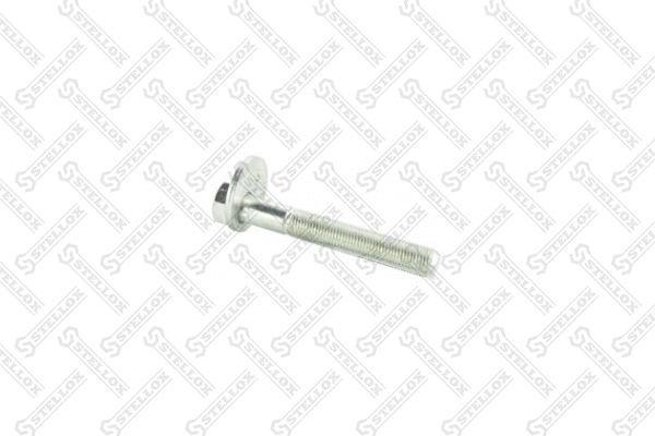 Screw (79-01110-SX)