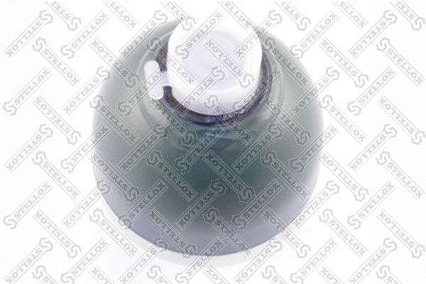 Pressure Accumulator, pneumatic suspension (70-00008-SX)