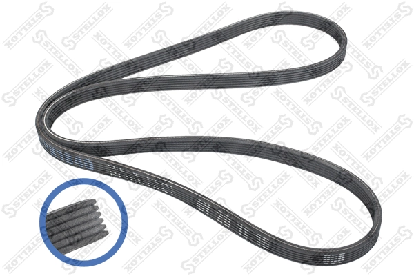 V-Ribbed Belt (06-01840-SX)