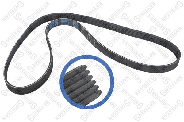 V-Ribbed Belt (06-01370-SX)