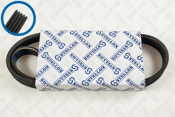 V-Ribbed Belt (05-00810-SX)