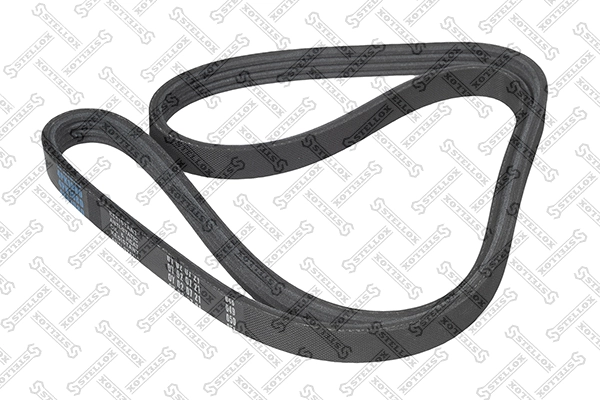 V-Ribbed Belt (04-01080-SX)