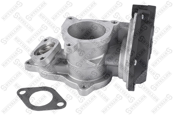 EGR Valve (01-25000-SX)