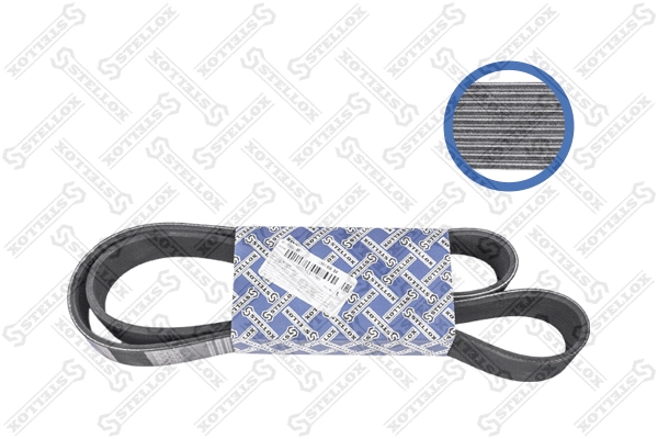 V-Ribbed Belt (01-01350-SX)