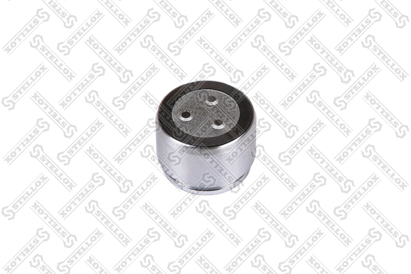 Piston, brake caliper (04-98369-SX)