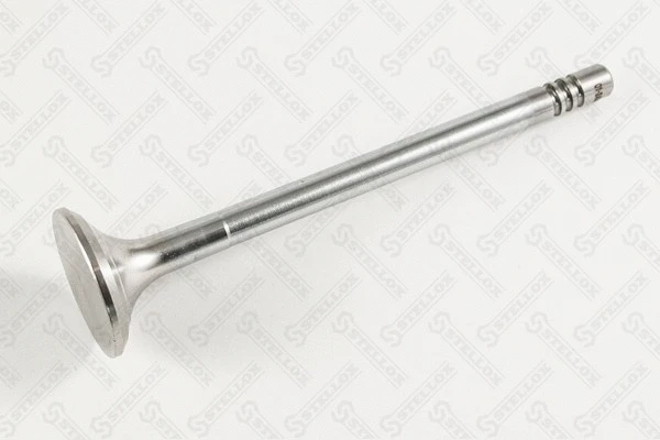 Exhaust Valve (01-24359-SX)