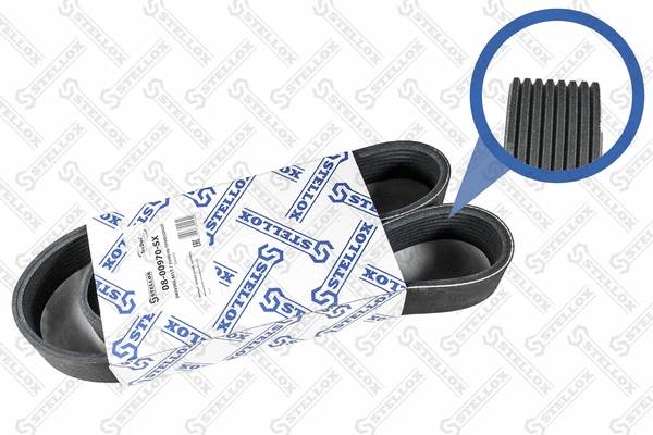 V-Ribbed Belt (08-00970-SX)