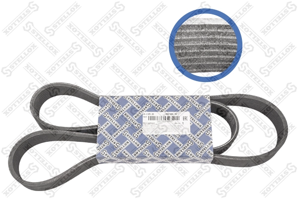V-Ribbed Belt (08-01365-SX)