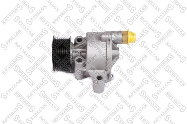 Vacuum Pump, braking system (10-02502-SX)
