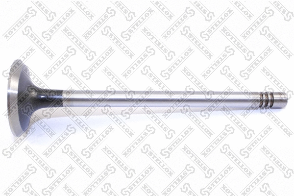 Exhaust Valve (01-24020-SX)