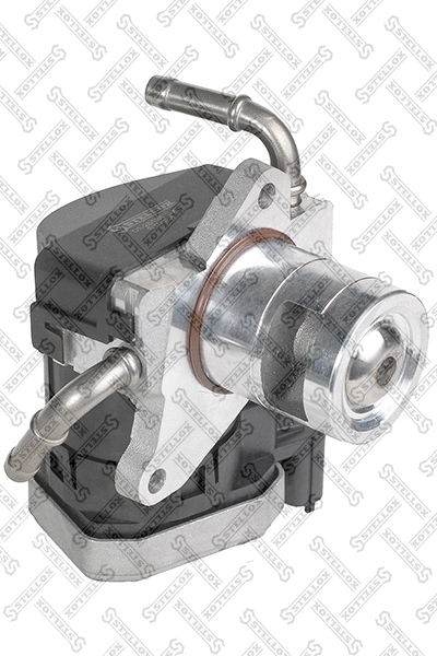 EGR Valve (01-25135-SX)