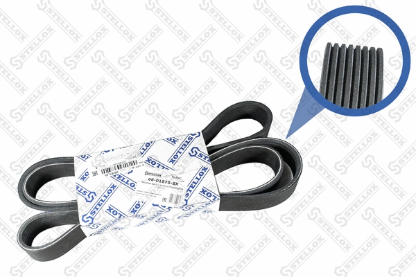 V-Ribbed Belt (08-01875-SX)