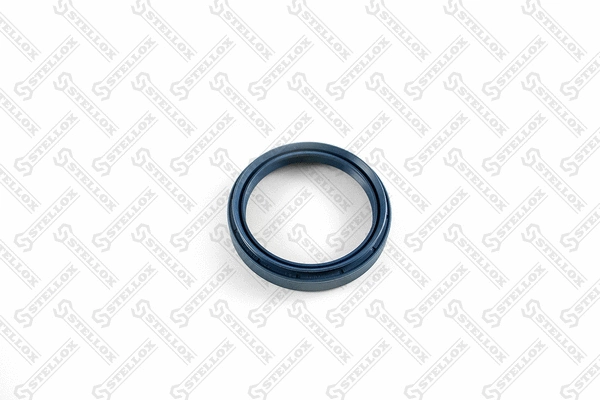 Seal Ring, spring bush (spring eye) (81-01296-SX)
