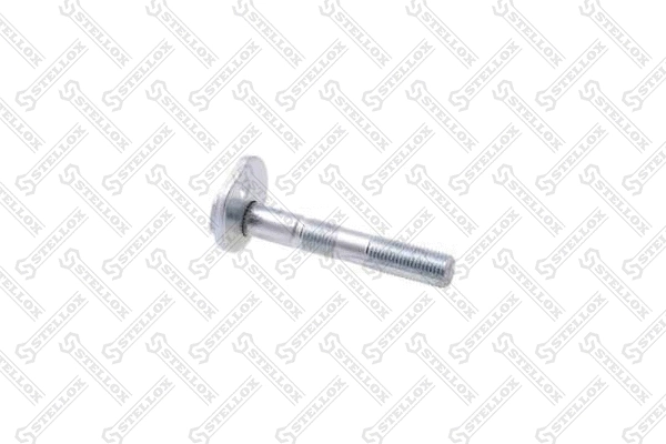 Screw (79-01102-SX)
