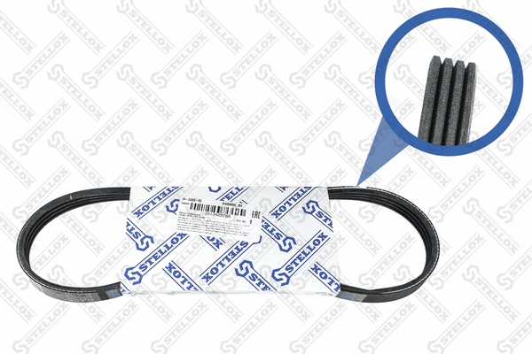 V-Ribbed Belt (04-00665-SX)