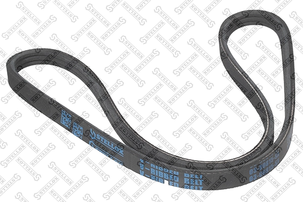 V-Ribbed Belt (03-00815-SX)