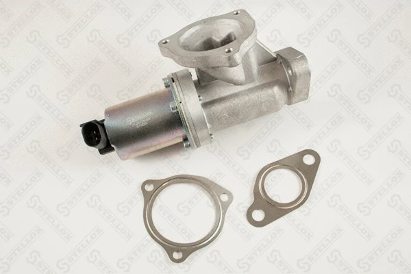 EGR Valve (01-25125-SX)