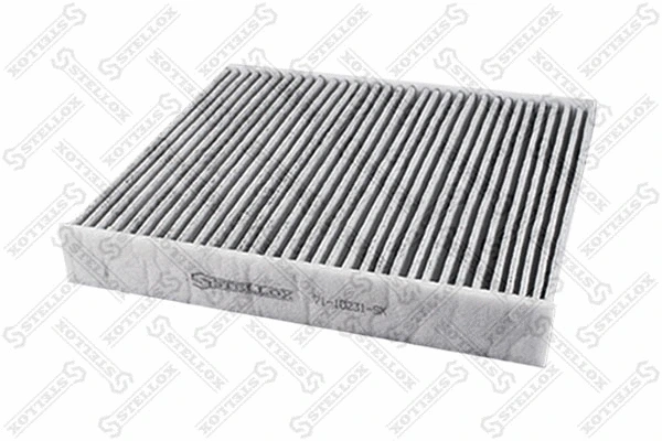 Filter, cabin air (71-10231-SX)