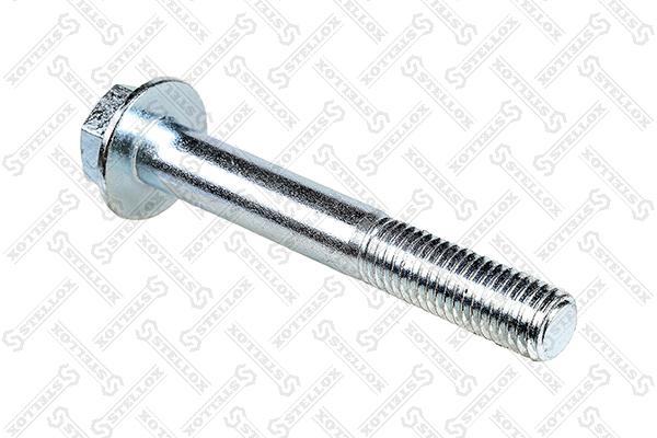 Screw