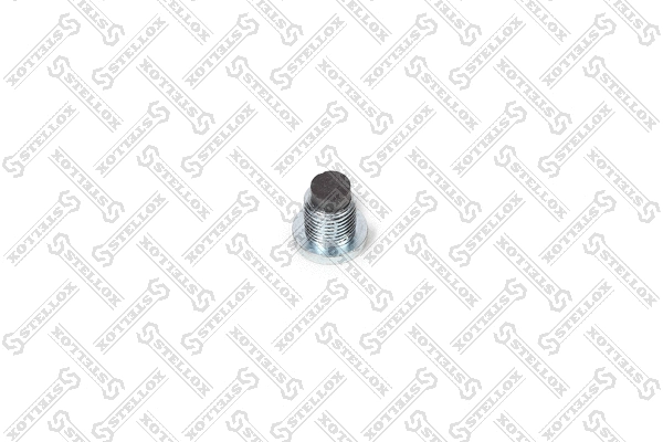 Screw Plug (89-03101-SX)