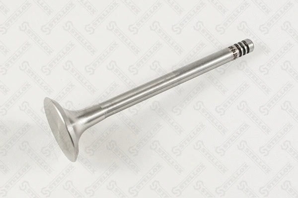 Exhaust Valve (01-24376-SX)
