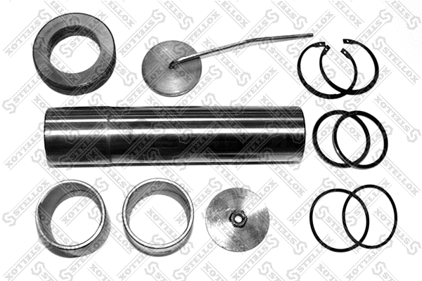 Repair Kit, kingpin (84-16013-SX)