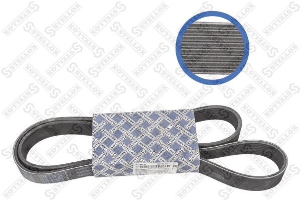 V-Ribbed Belt (08-01480-SX)