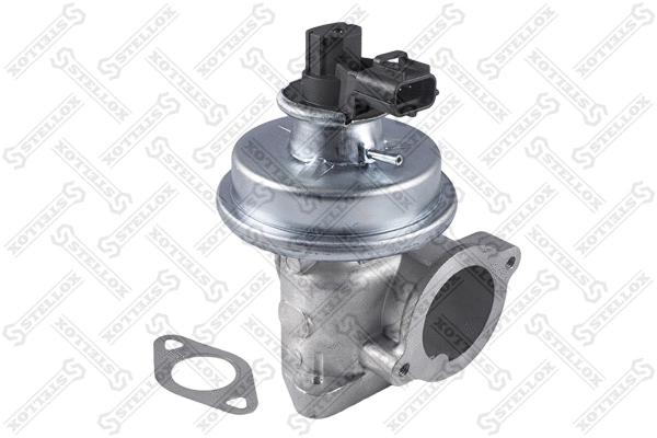 EGR Valve (01-25022-SX)