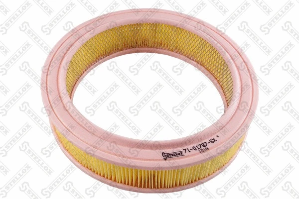 Air Filter (71-01787-SX)