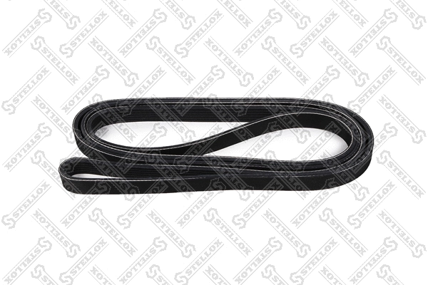 V-Ribbed Belt (06-02475-SX)
