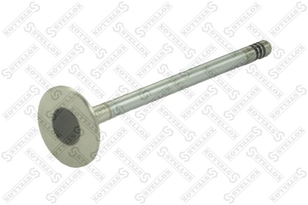 Exhaust Valve (01-24083-SX)