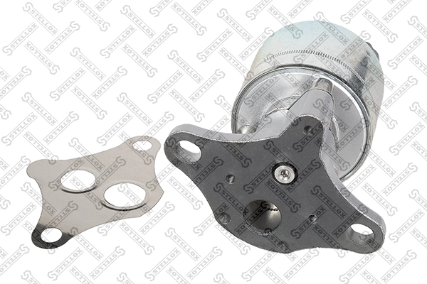 EGR Valve (01-25109-SX)