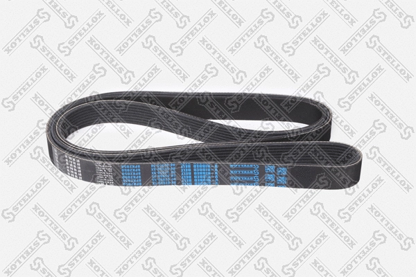 V-Ribbed Belt (08-02050-SX)