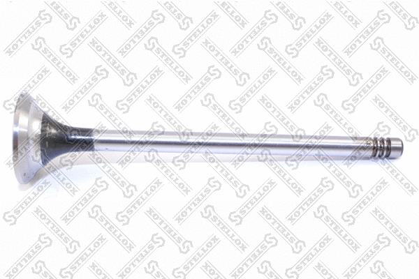 Exhaust Valve (01-24200-SX)
