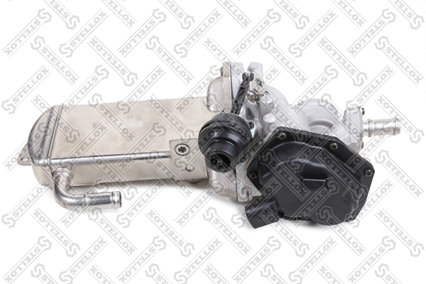 EGR Valve (01-25229-SX)