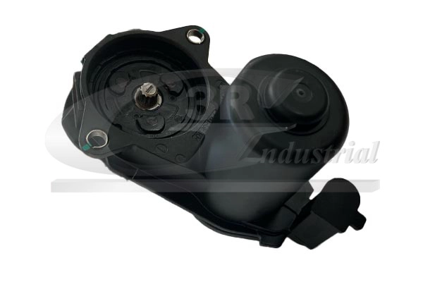 Control Element, parking brake caliper (11500)