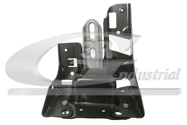 Mounting, engine (41217)