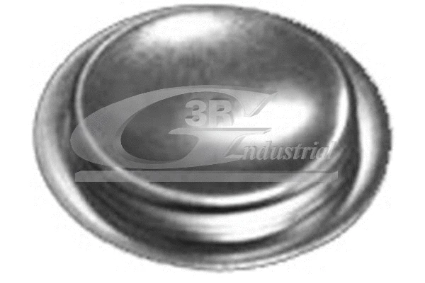 Plug, rocker arm shaft mounting bore (84050)