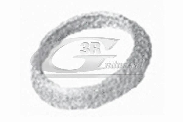 Seal Ring, exhaust pipe (71308)