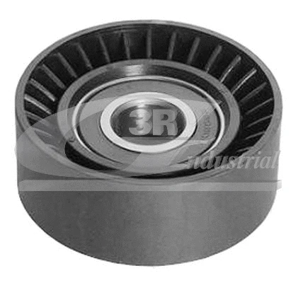 Tensioner Lever, V-ribbed belt (13239)