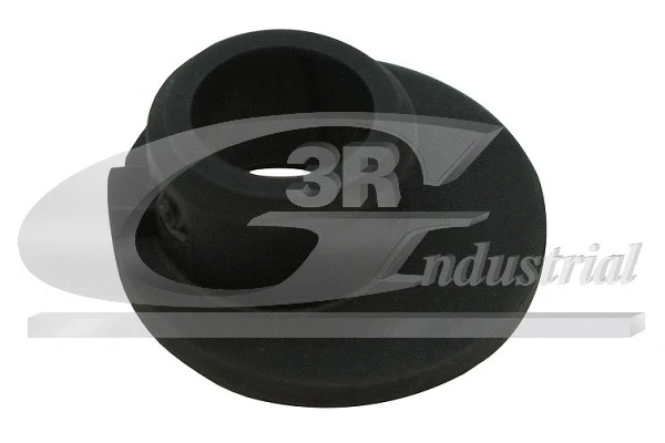 Bushing, selector/shift rod (24728)