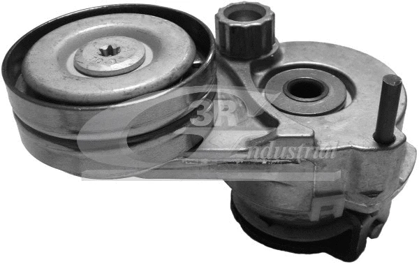 Tensioner Lever, V-ribbed belt (13404)