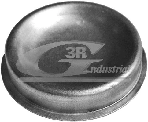 Cap, wheel bearing (80226)