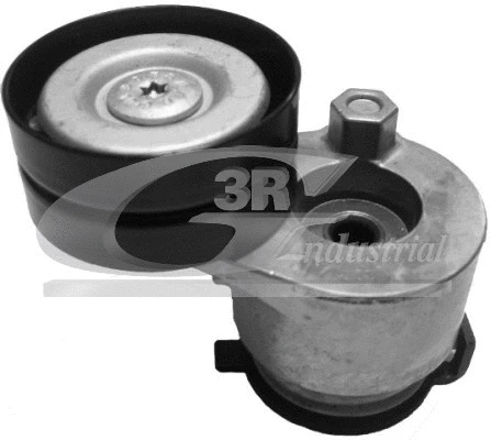 Tensioner Lever, V-ribbed belt (13602)