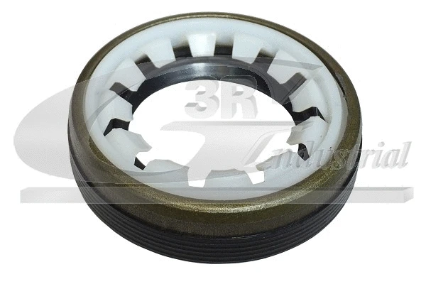 Shaft Seal, differential (80208)