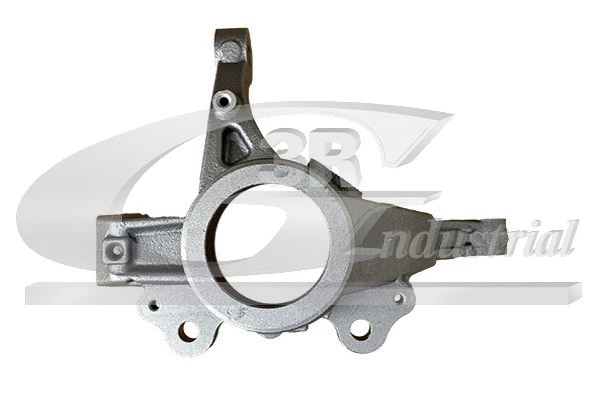 Steering Knuckle, wheel suspension (15219)