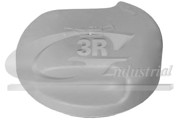 Sealing Cap, oil filler neck (80419)