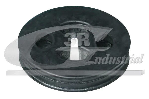 Mount, exhaust system (70902)