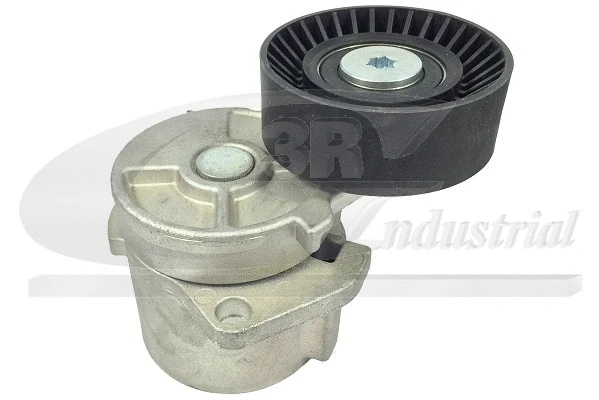 Tensioner Lever, V-ribbed belt (13100)