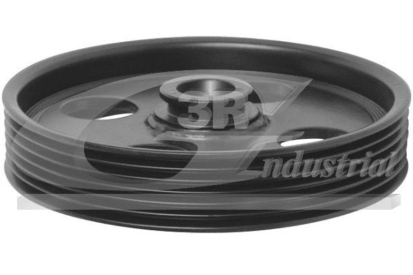 Belt Pulley, power steering pump (10247)